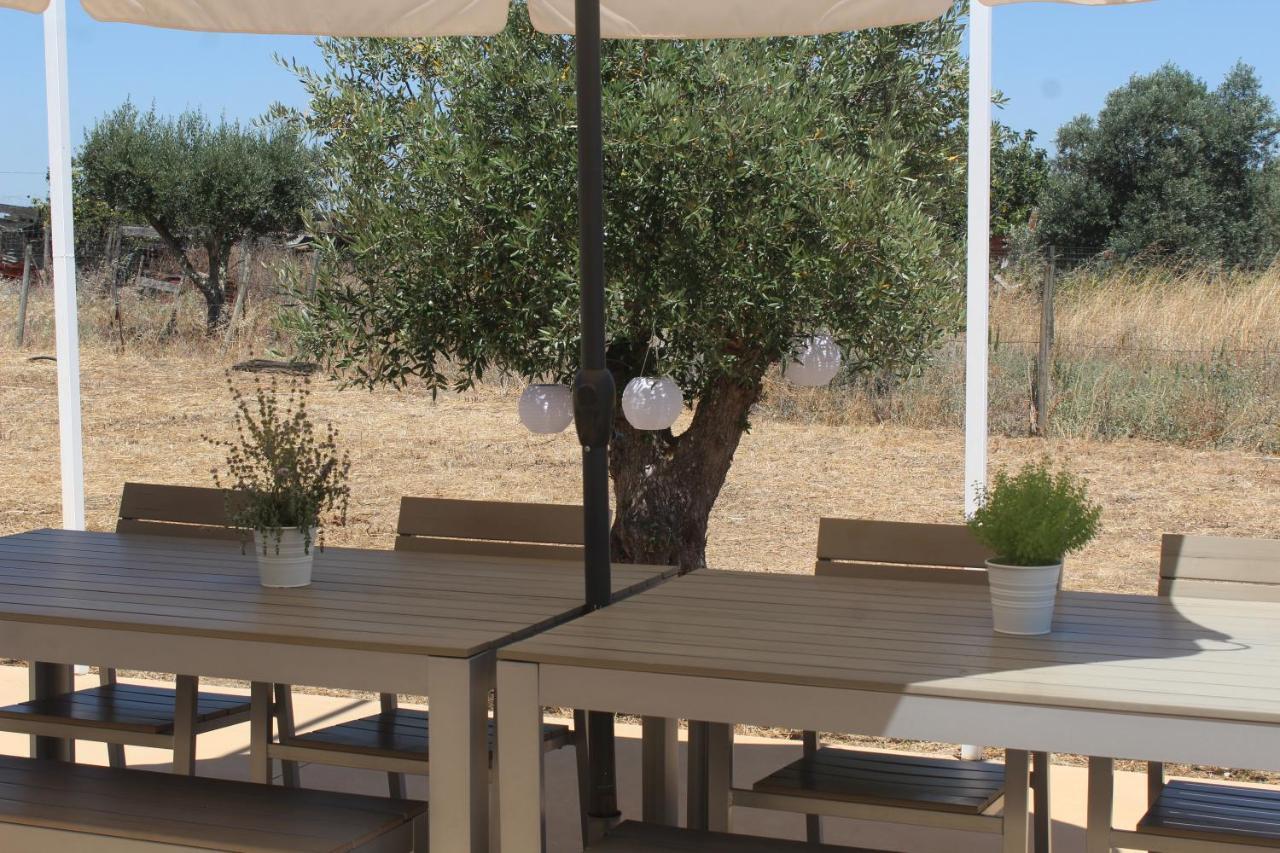 Casa Do Roxo - Eco Design Country House Santa Vitória Eksteriør billede