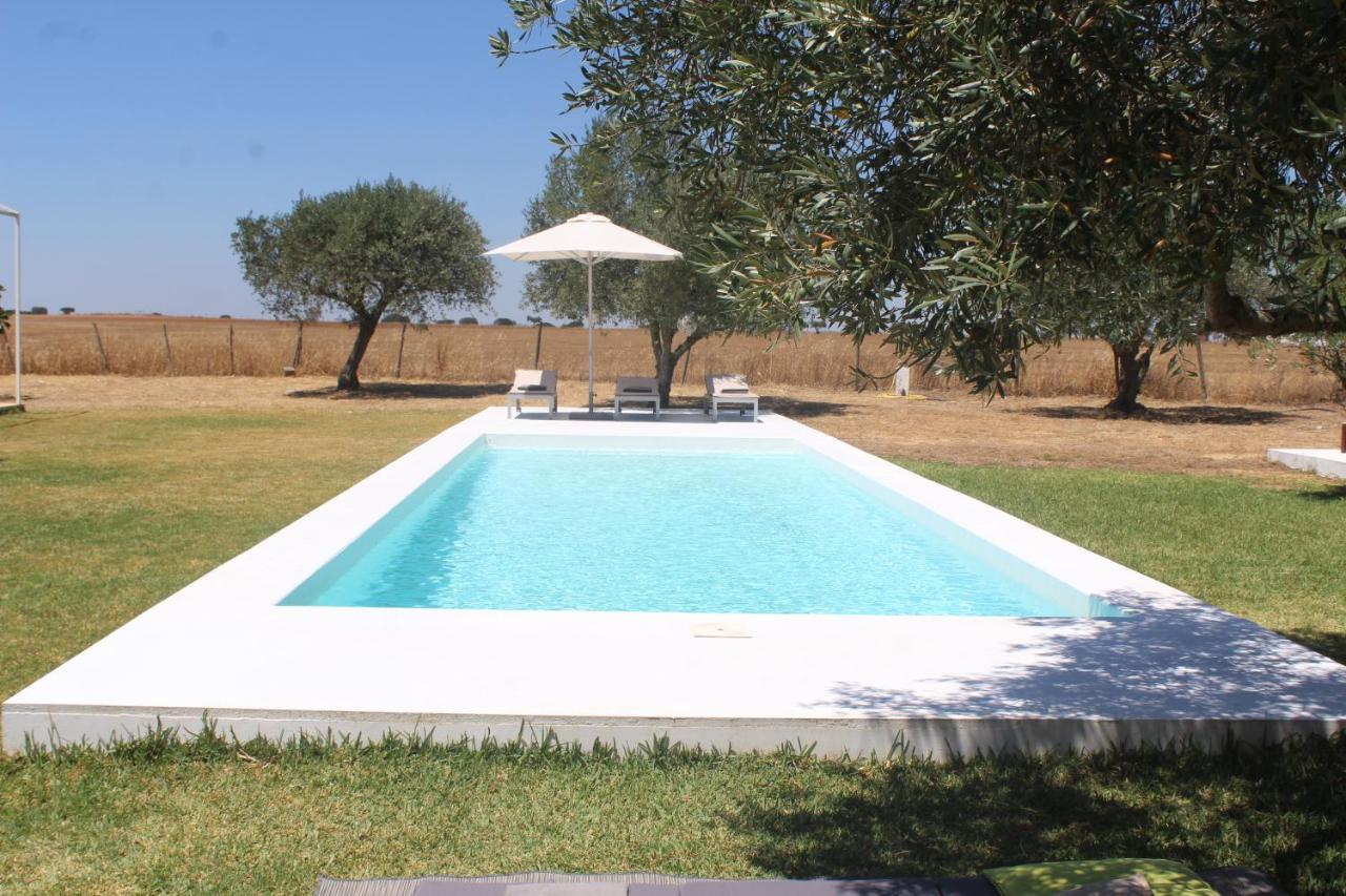 Casa Do Roxo - Eco Design Country House Santa Vitória Eksteriør billede
