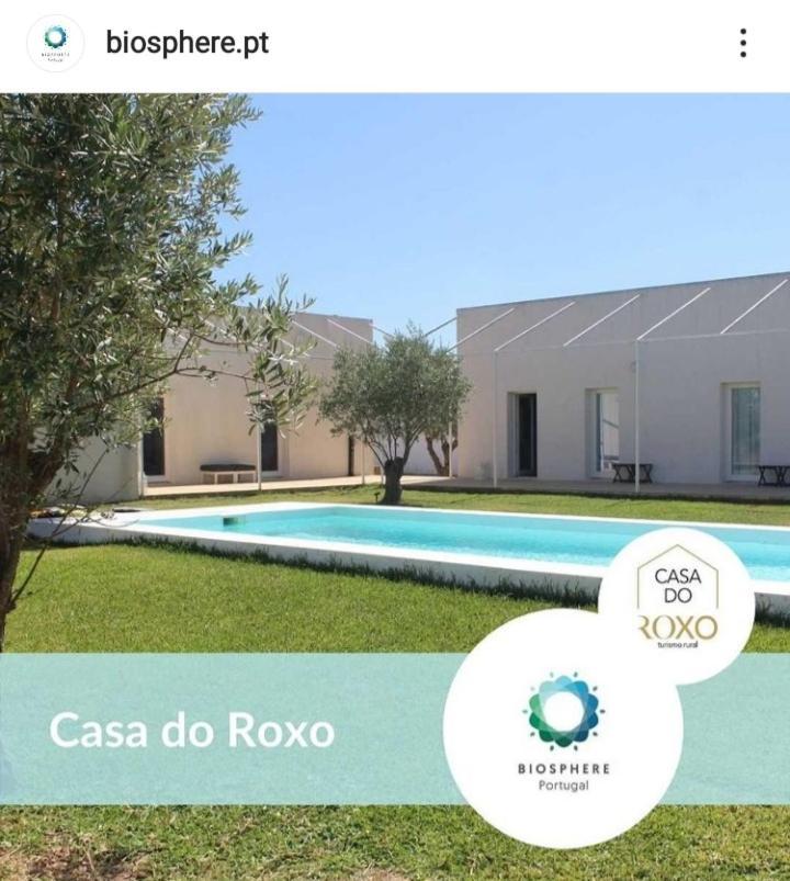 Casa Do Roxo - Eco Design Country House Santa Vitória Eksteriør billede